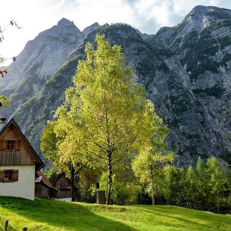 Cottages Kravanja Трента Экстерьер фото