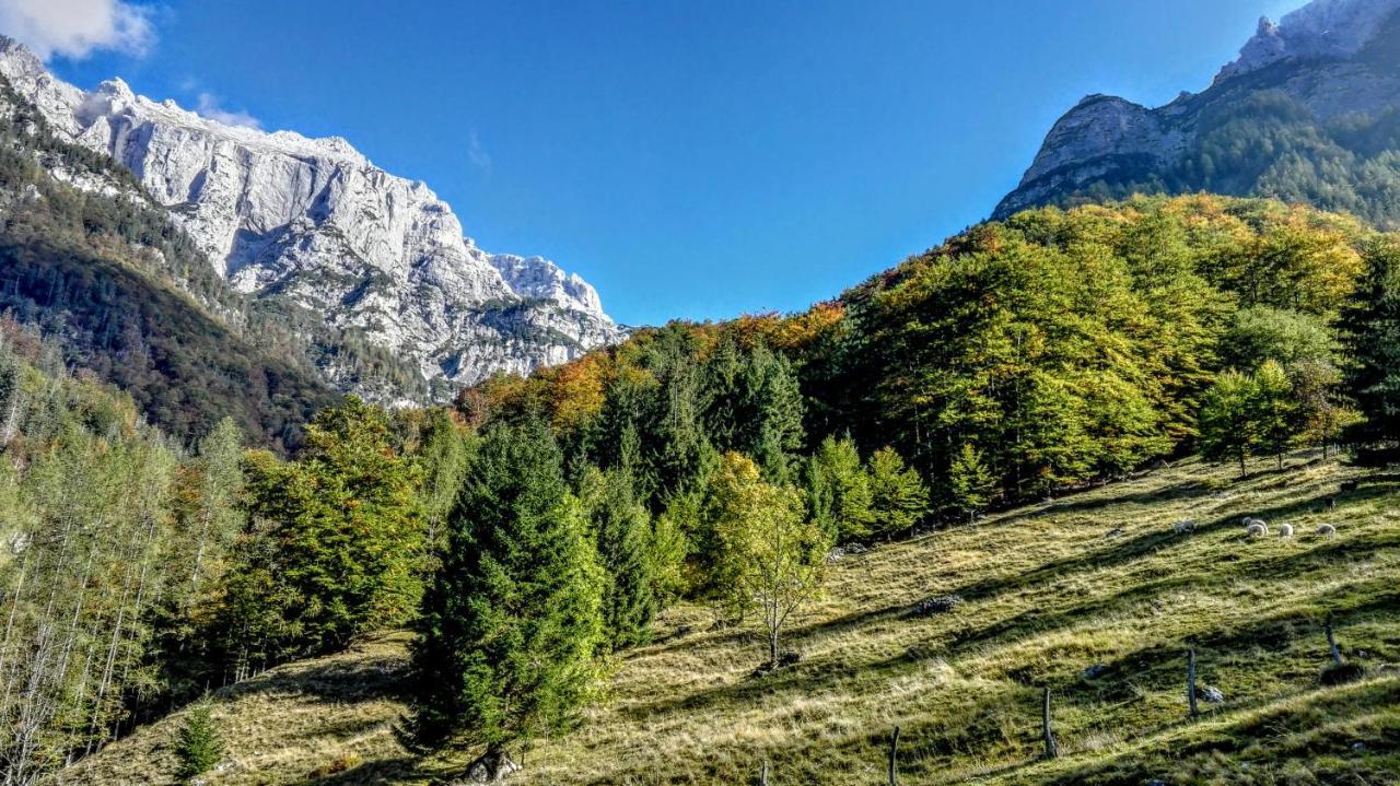 Cottages Kravanja Трента Экстерьер фото