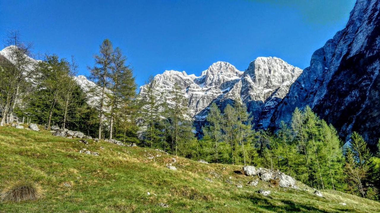 Cottages Kravanja Трента Экстерьер фото