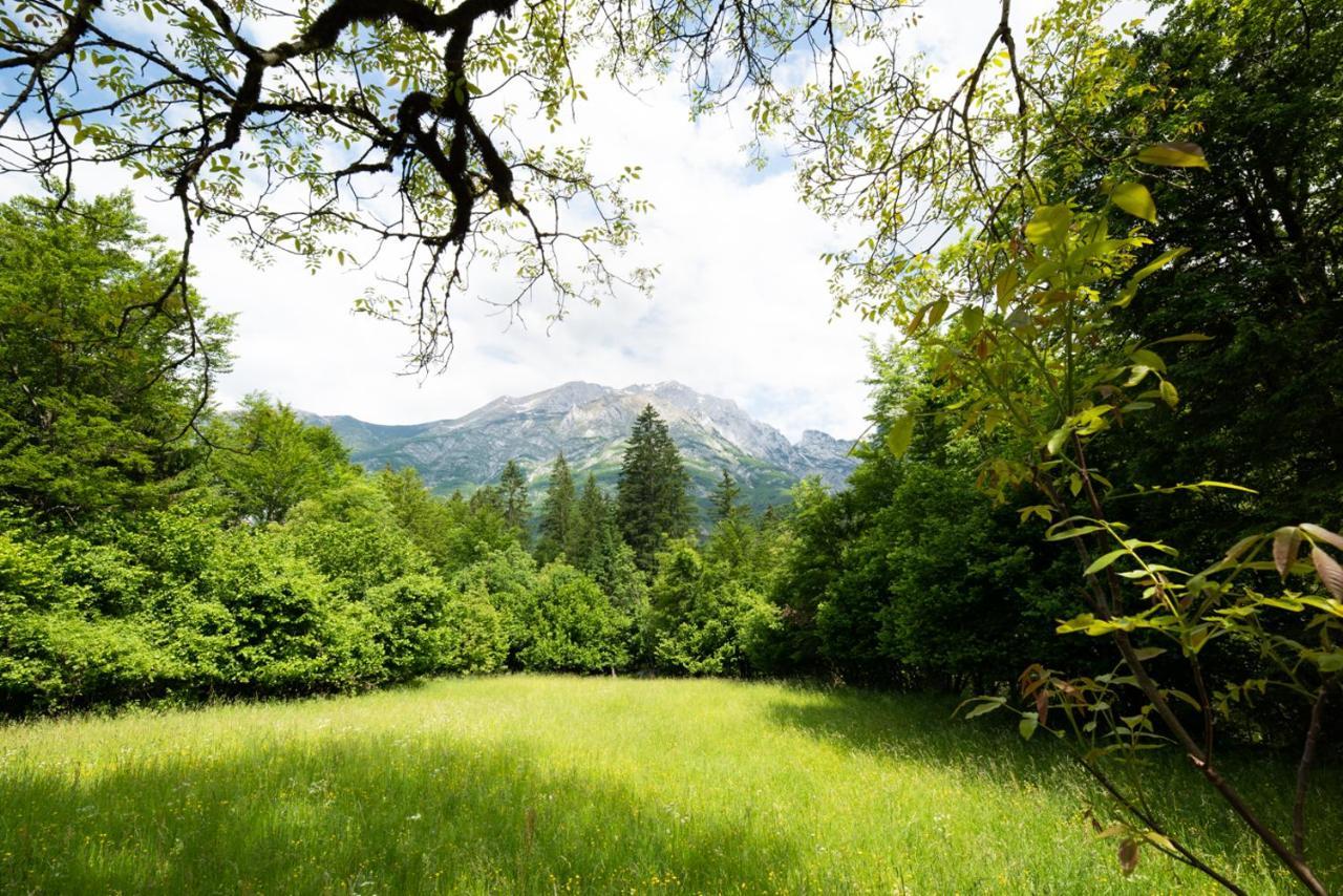 Cottages Kravanja Трента Экстерьер фото